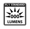 How Many Lumens Do I Really Need?