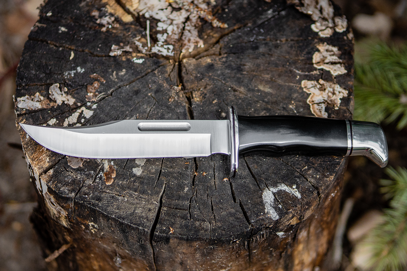 buck 119 with clip point blade